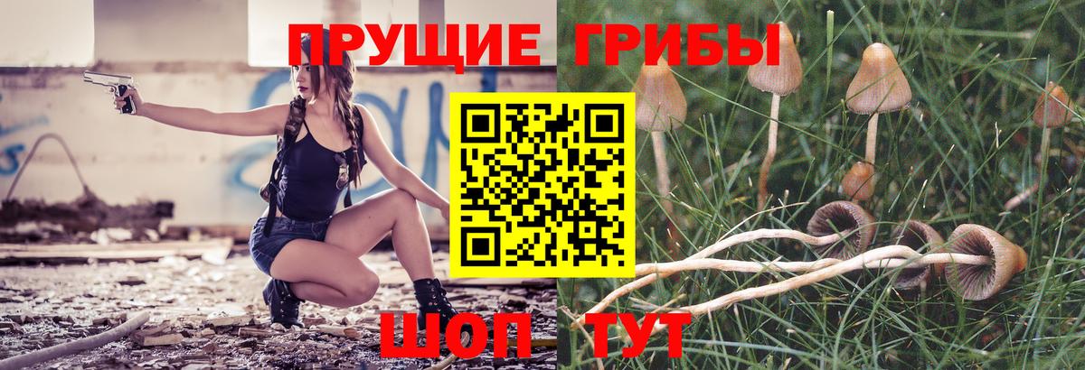 Псилоцибиновые грибы Magic Shrooms  Галлюциногенные грибы Magic Shrooms  Вход с VPN  Лабинск 